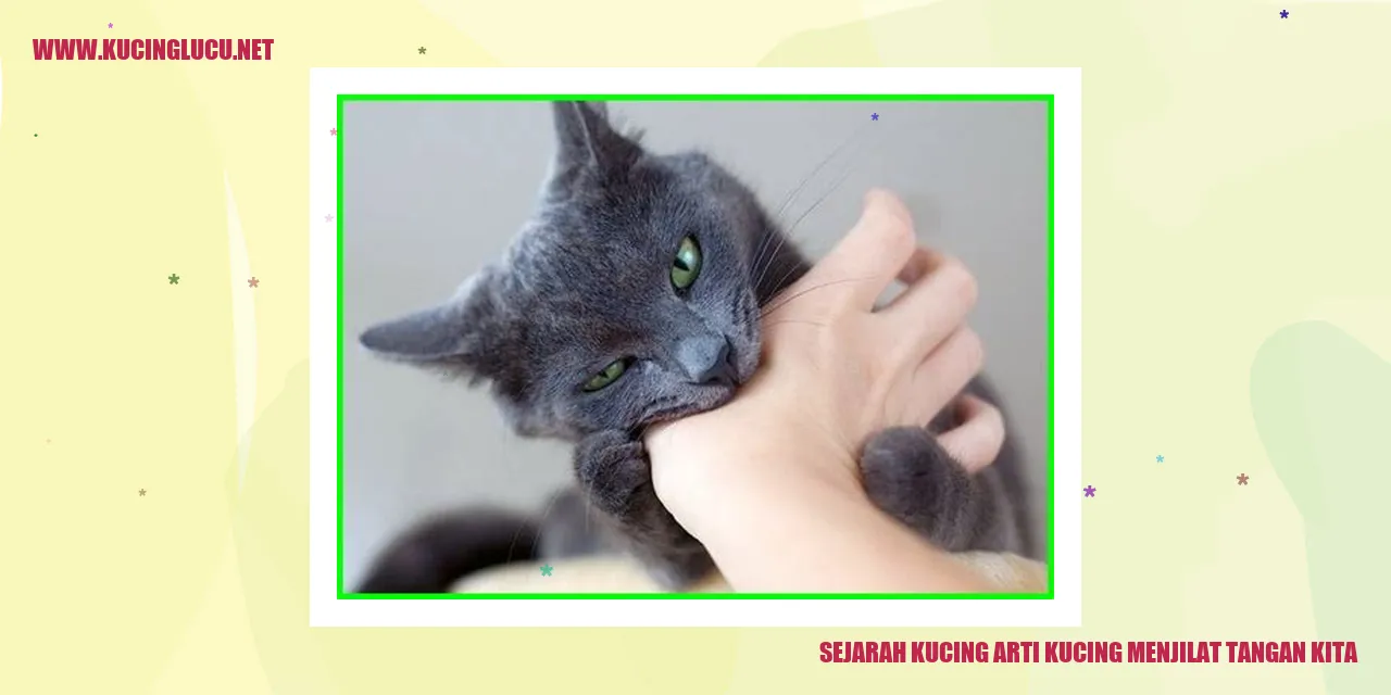 Sejarah Kucing arti kucing menjilat tangan kita