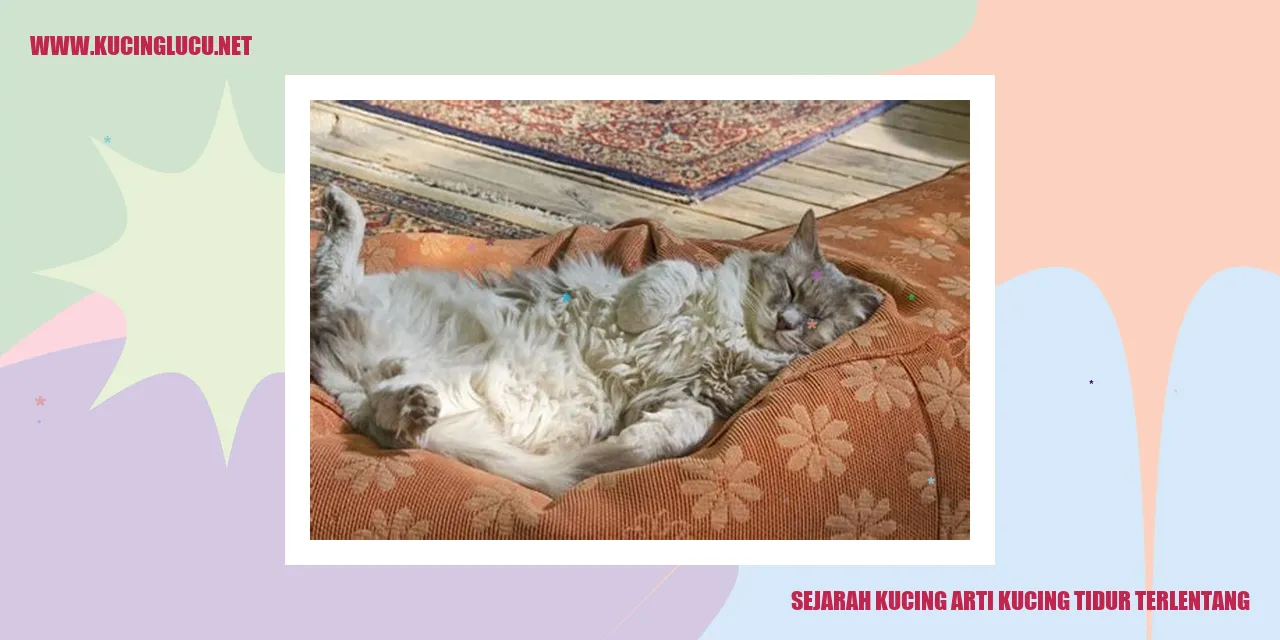 Sejarah Kucing dan Makna Tidur Terlentang