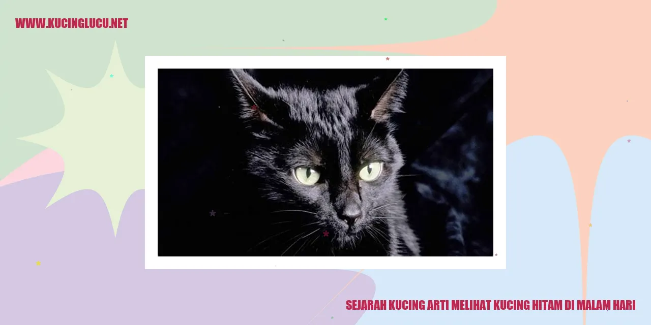 Sejarah Simbolis Melihat Kucing Hitam di Malam Hari
