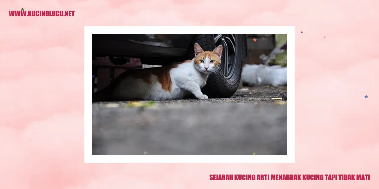 Sejarah Kucing Arti Menabrak Kucing tapi Tidak Mati