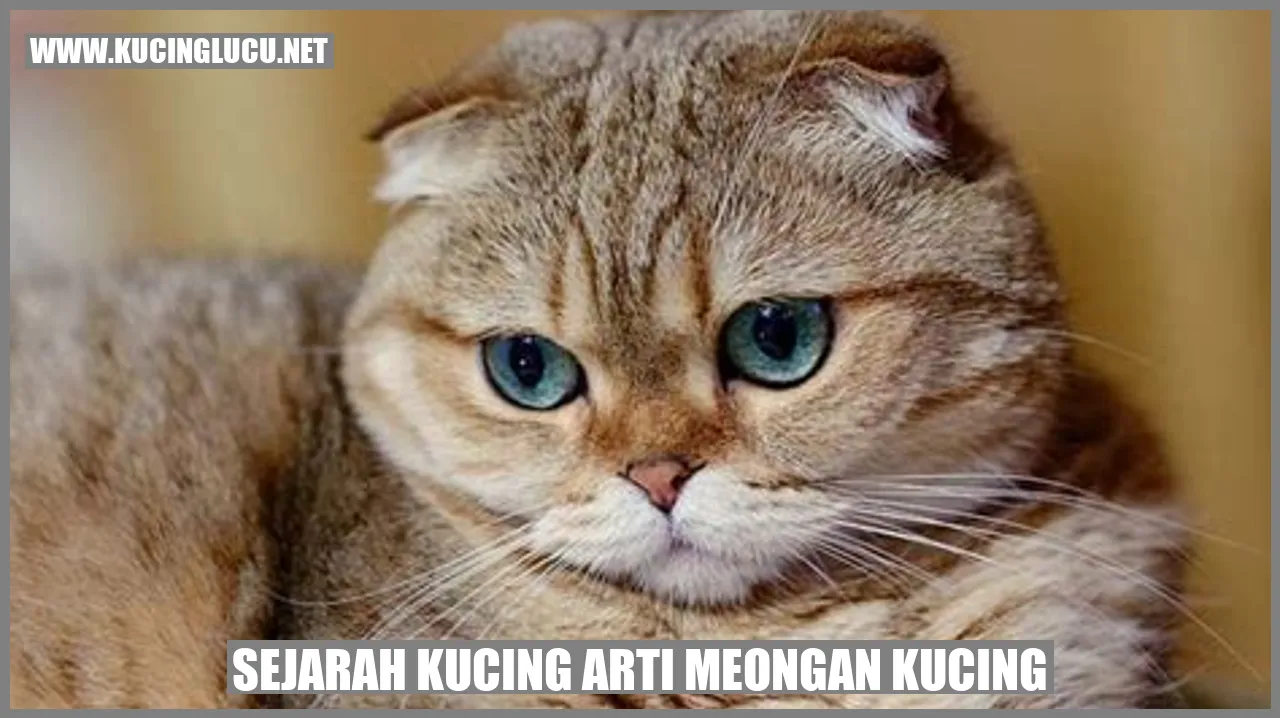 Sejarah Kucing