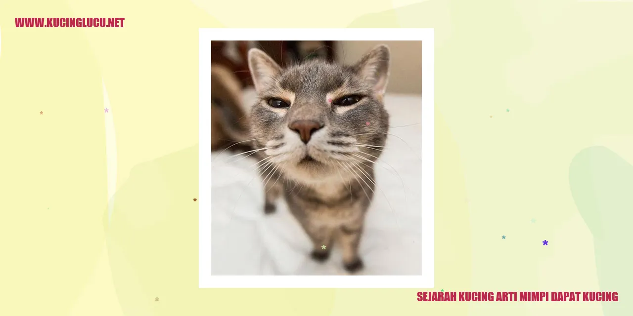 Ilustrasi Kucing