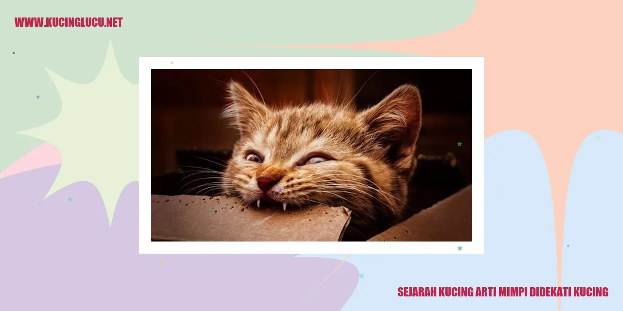 Ilustrasi Kucing Menarik