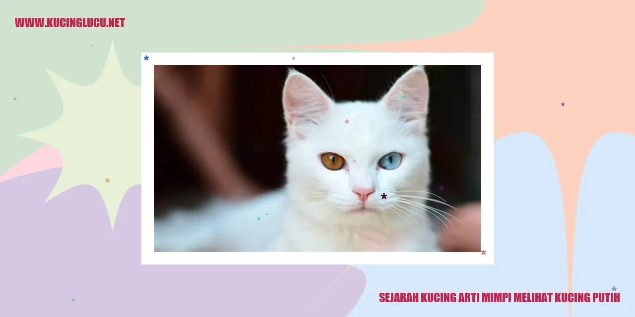 Kucing Putih