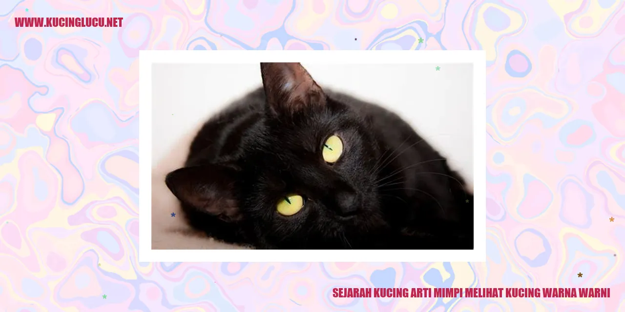 foto kucing berwarna-warni