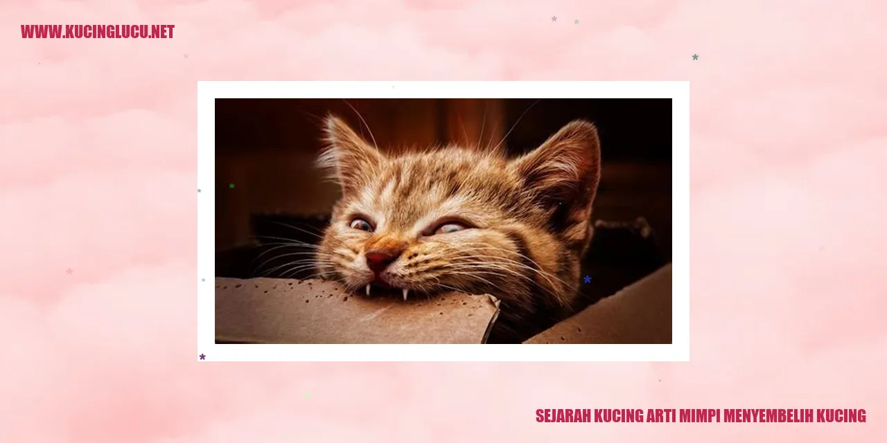 Foto kucing