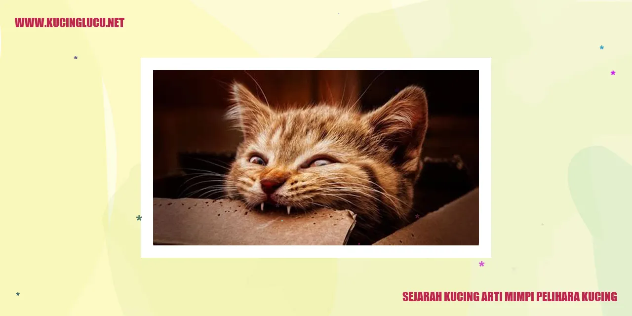 Foto Kucing yang Menggemaskan