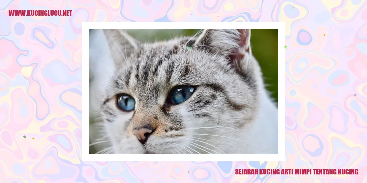 gambar kucing yang menggemaskan