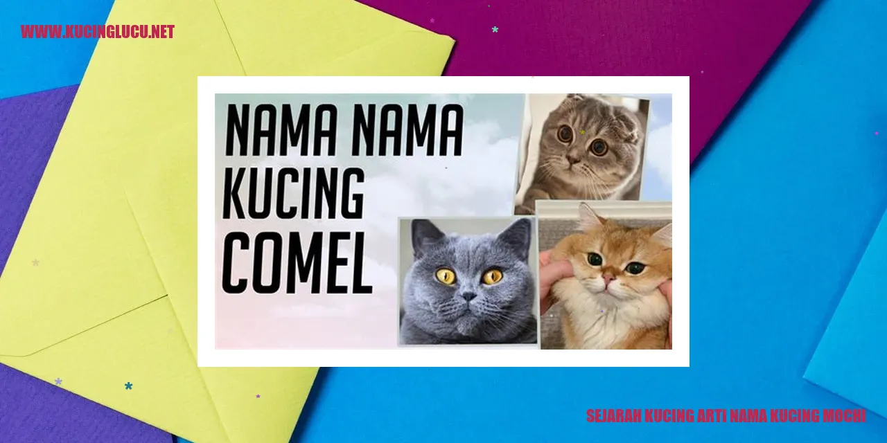 Kucing Mochi