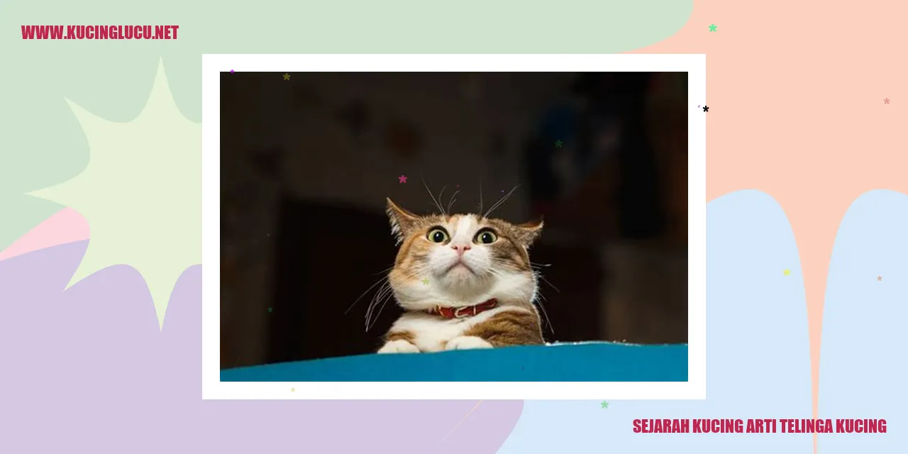 Gambar kucing yang menggemaskan