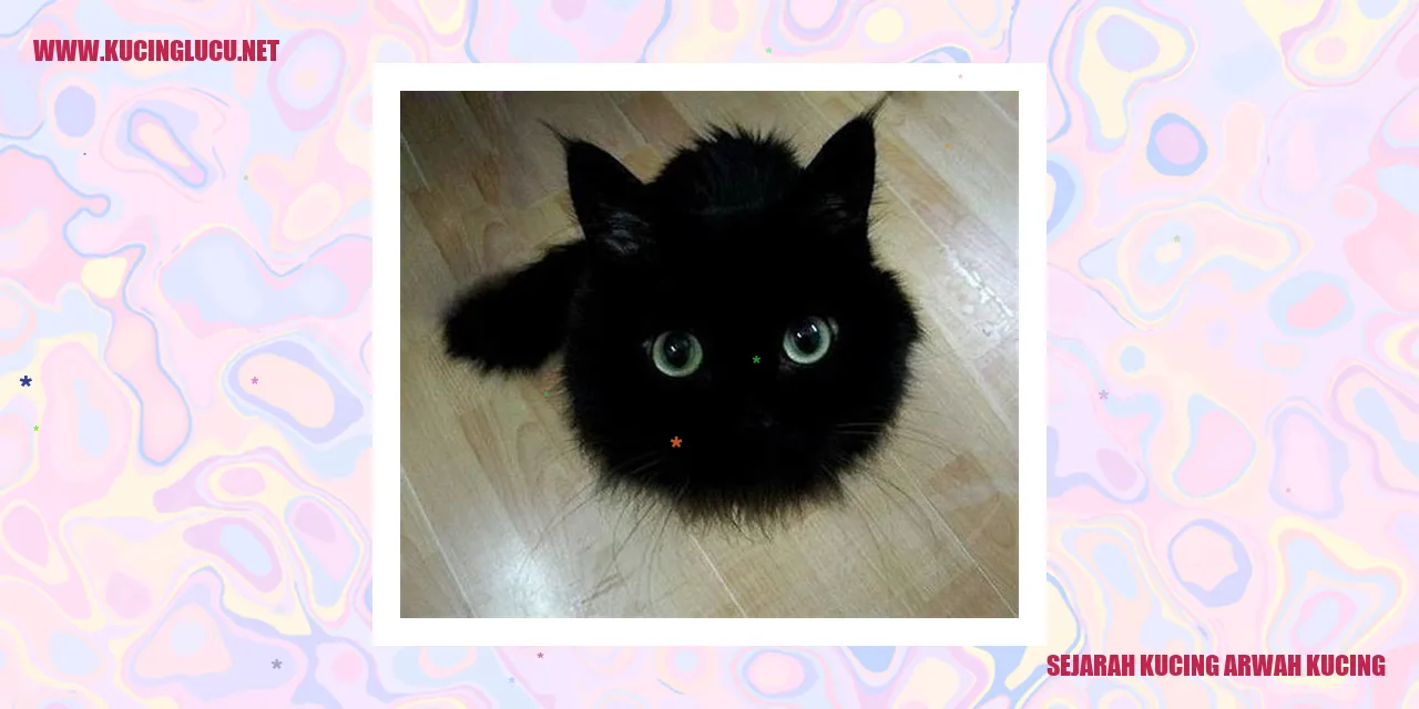 Potret Kucing Arwah Kucing