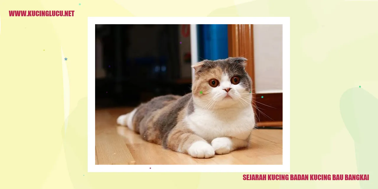 Kucing yang menderita penyakit bau bangkai