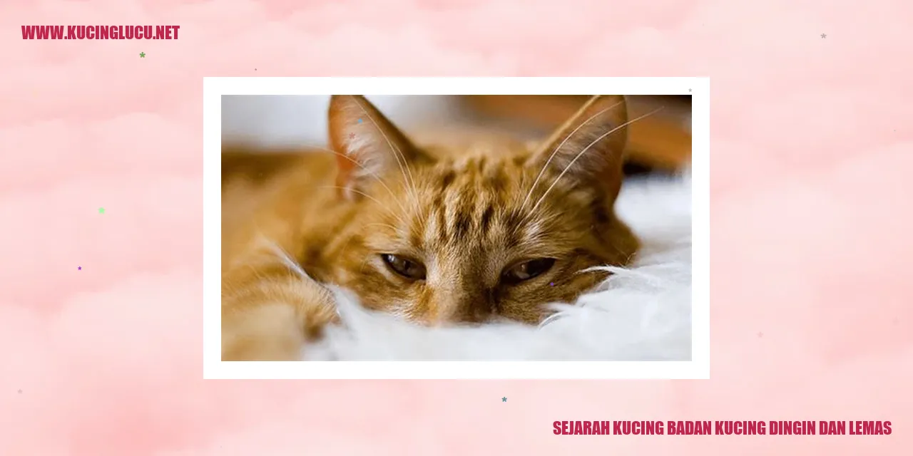 Gambar Kucing