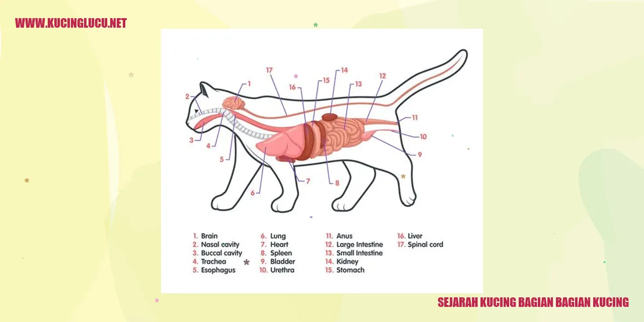 Ilustrasi Kucing