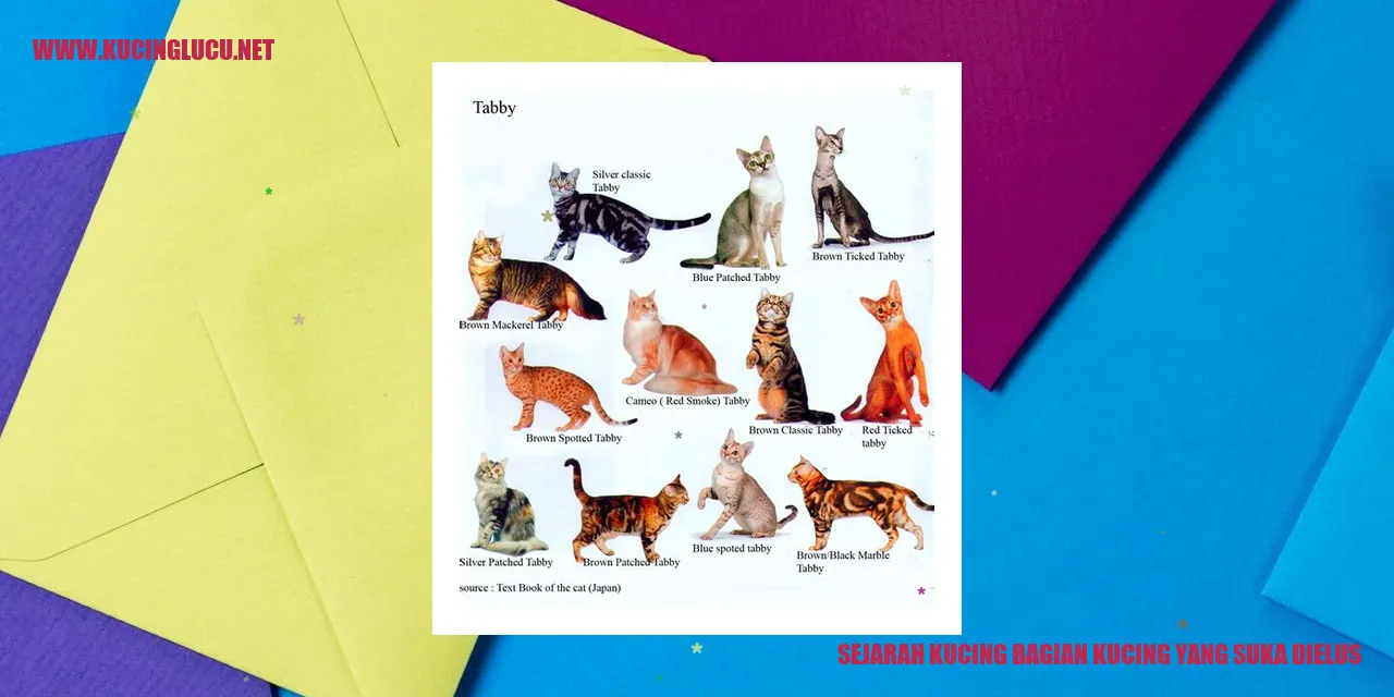 Gambar Kucing yang Suka Dielus