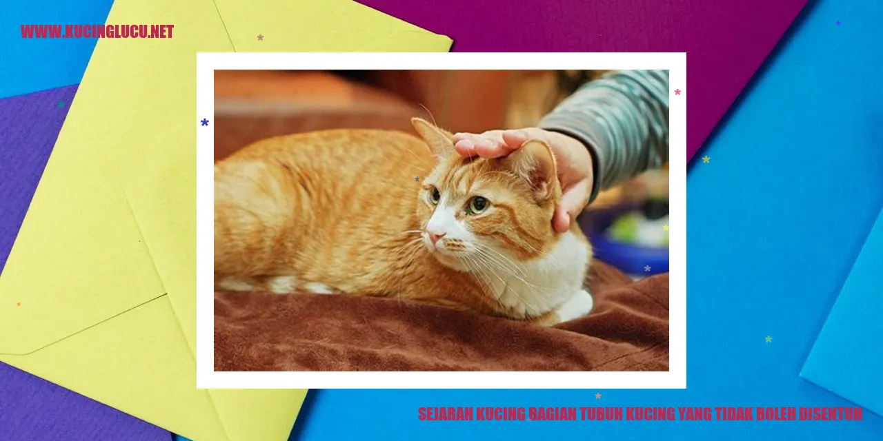 Sejarah Kucing bagian tubuh kucing yang tidak boleh disentuh