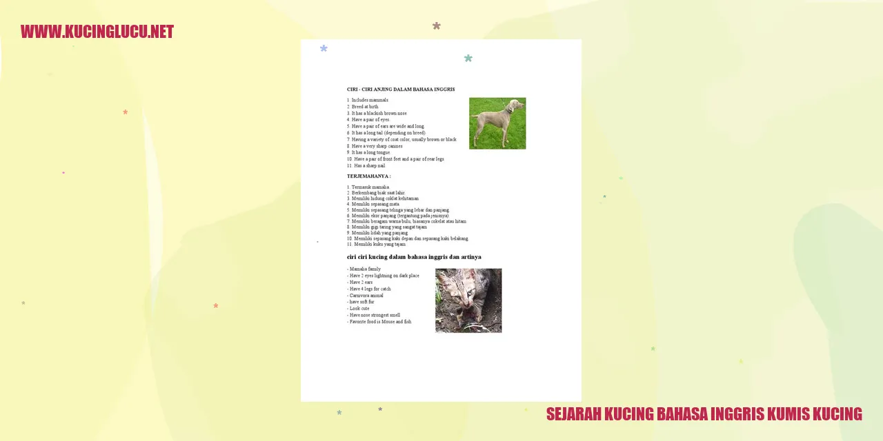 Sejarah Kucing: Kumis Kucing
