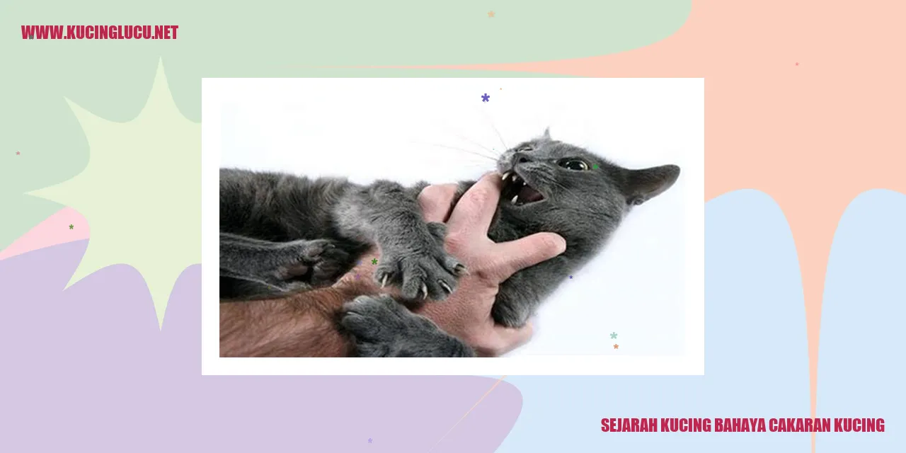 Sejarah Kucing bahaya cakaran kucing