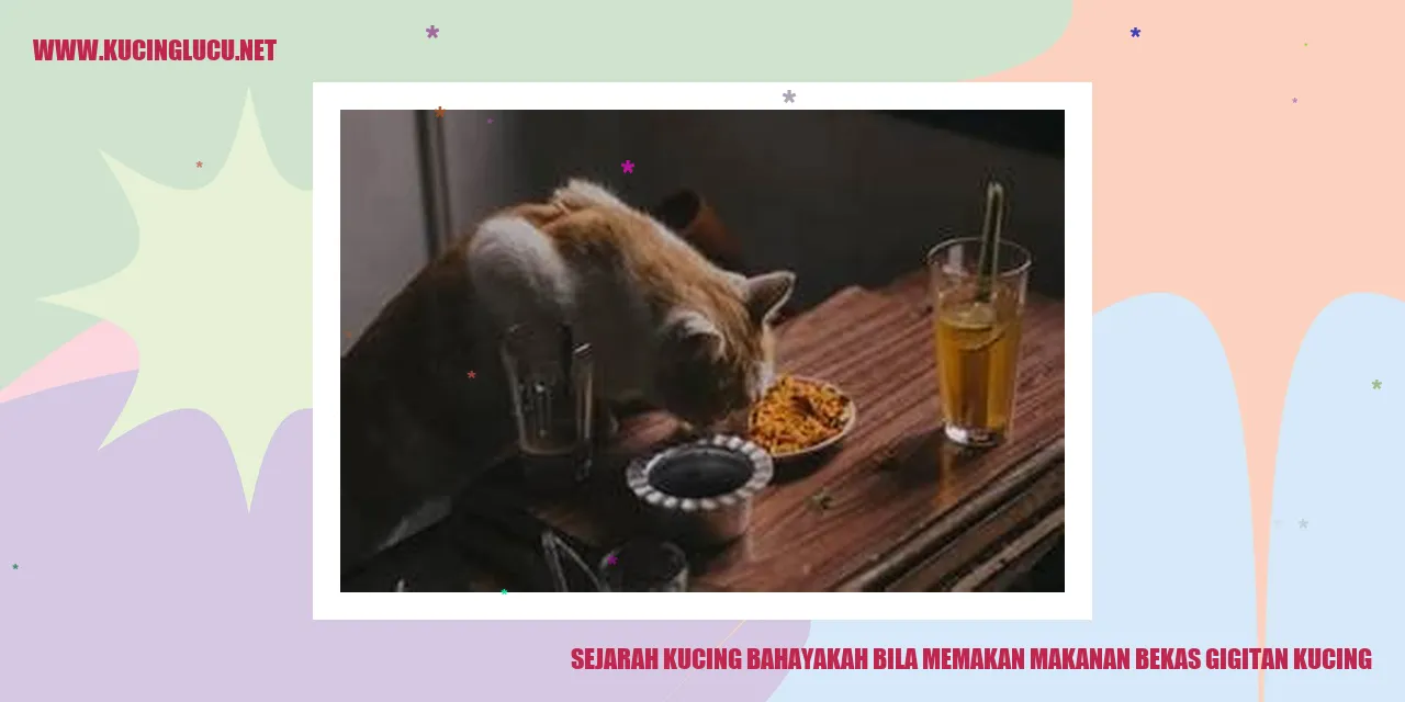 Sejarah Kucing