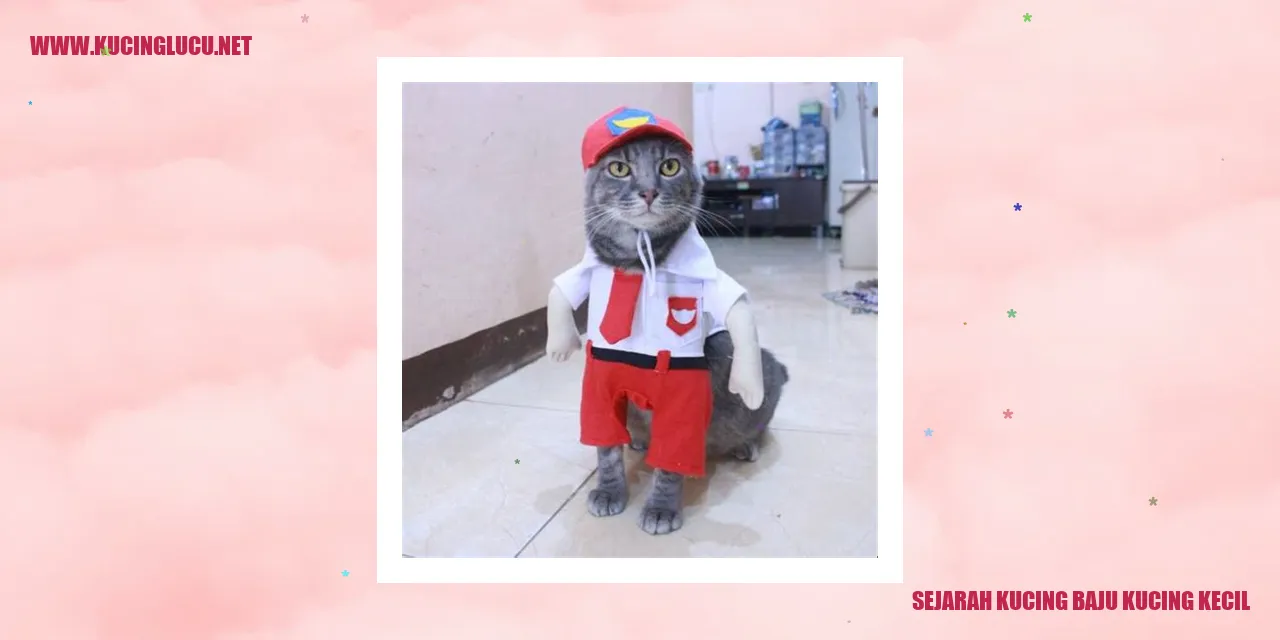 Kucing Baju Kucing