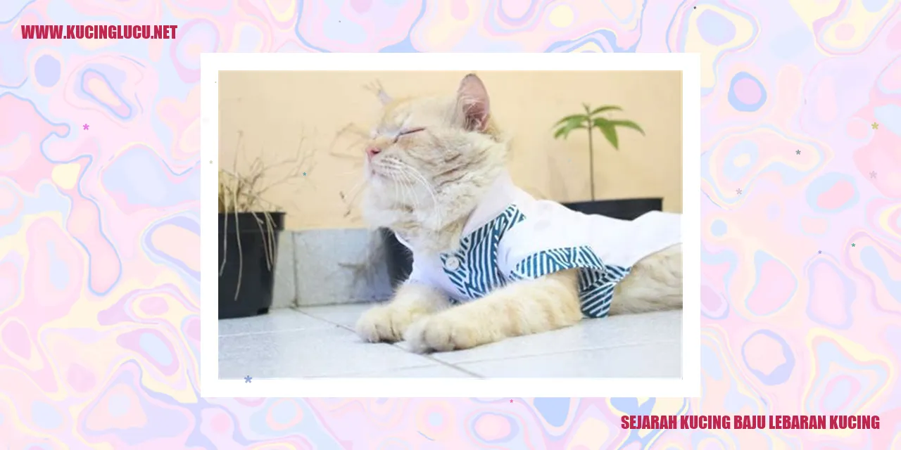Kucing Baju Lebaran Kucing