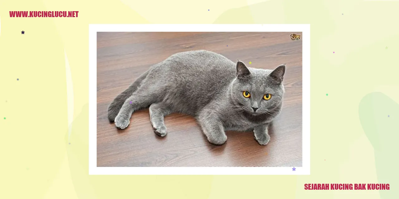 Potret Menggemaskan Seekor Kucing