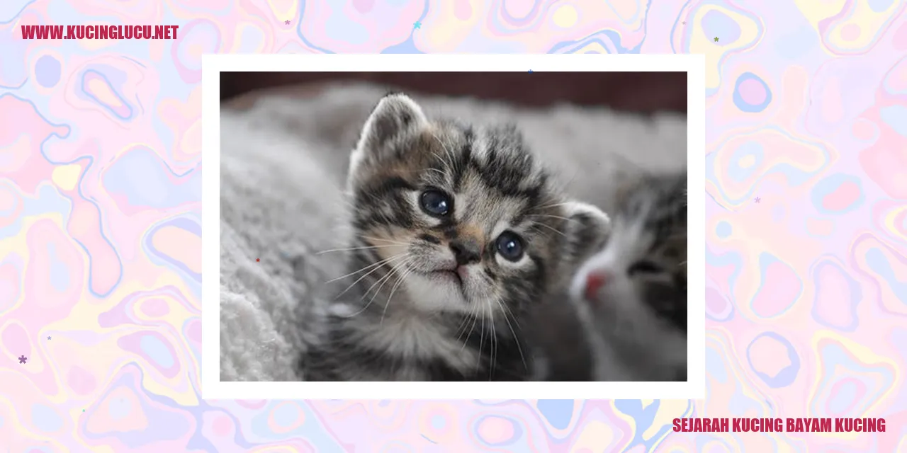 Gambar Kucing Bayam Kucing