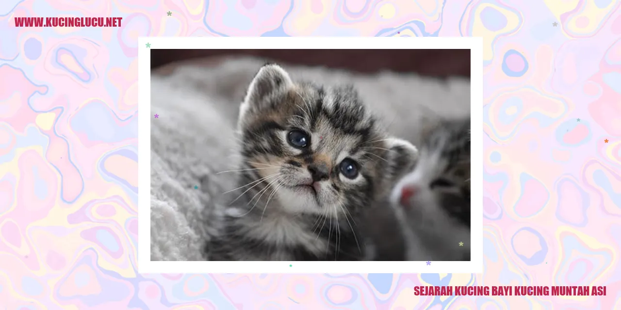 Kucing bayi muntah asi