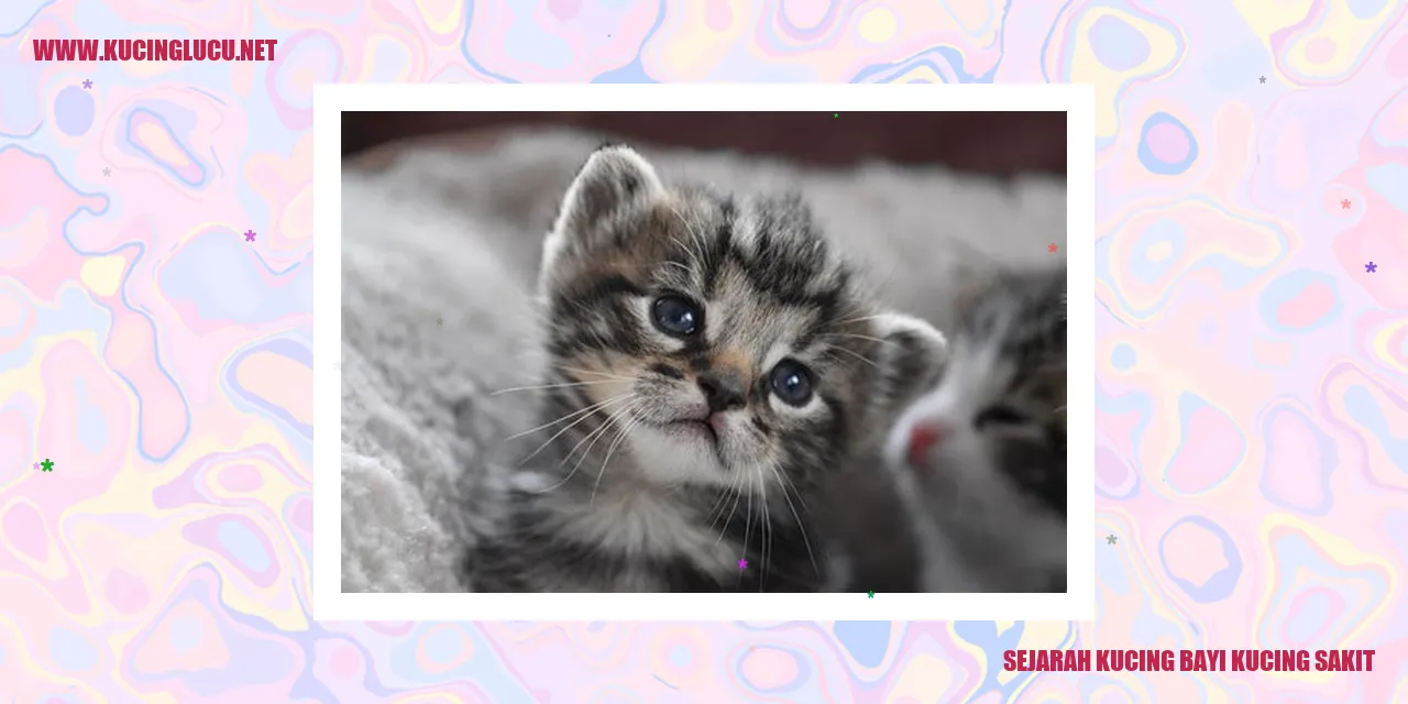 Sejarah Kucing bayi kucing sakit