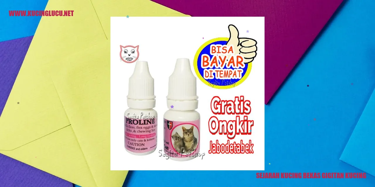 Kucing bekas gigitan kucing