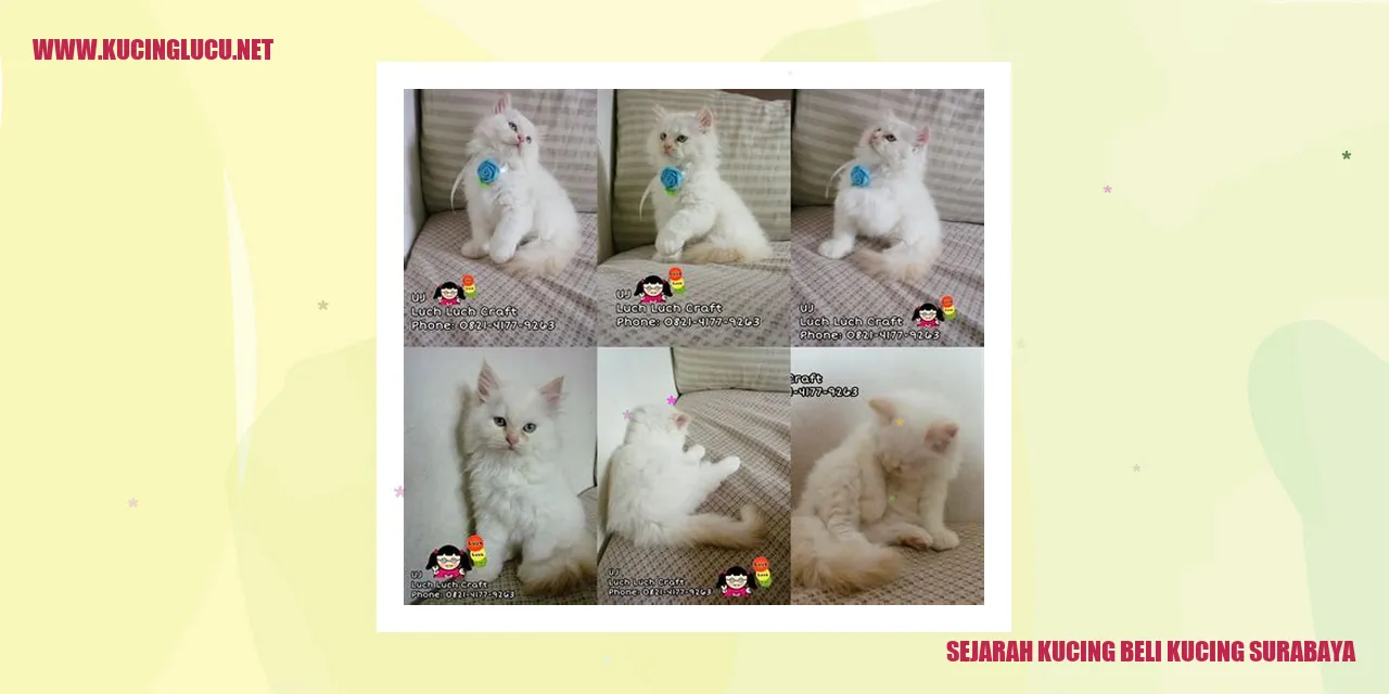 Sejarah Kucing Beli Kucing Surabaya