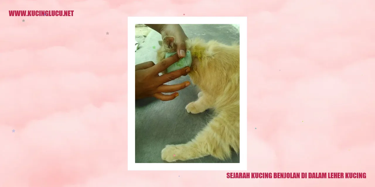 Gambar bobot di dalam leher kucing