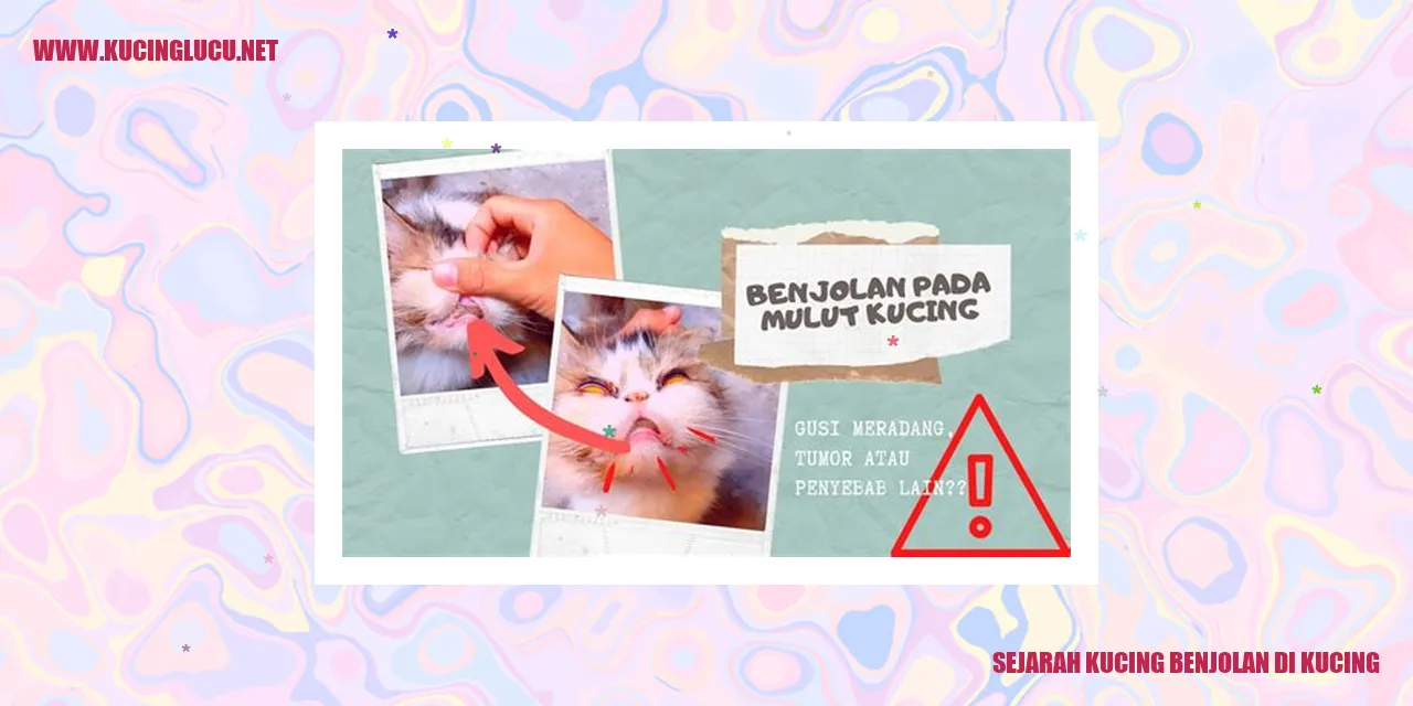 Sejarah Kucing Benjolan di Kucing