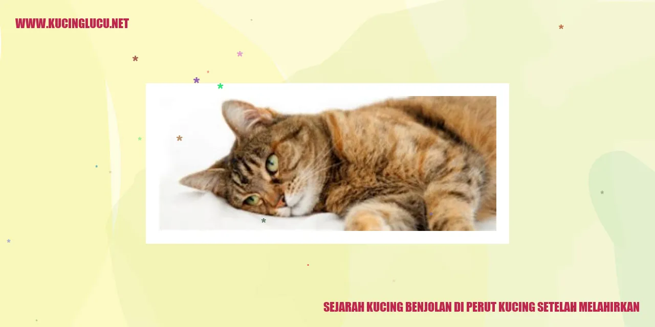 Gambar Kucing Produksi Susu