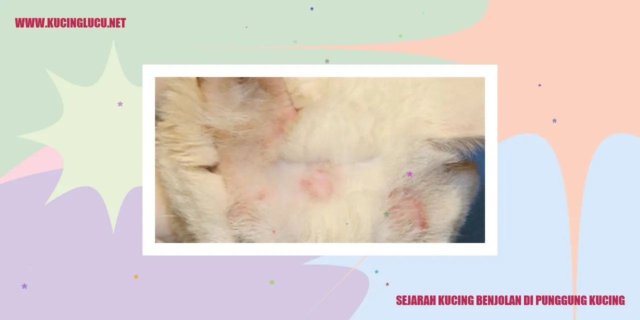 Gambar Kucing Benjolan di Punggung
