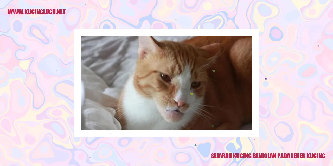 Kucing Benjolan pada Leher Kucing