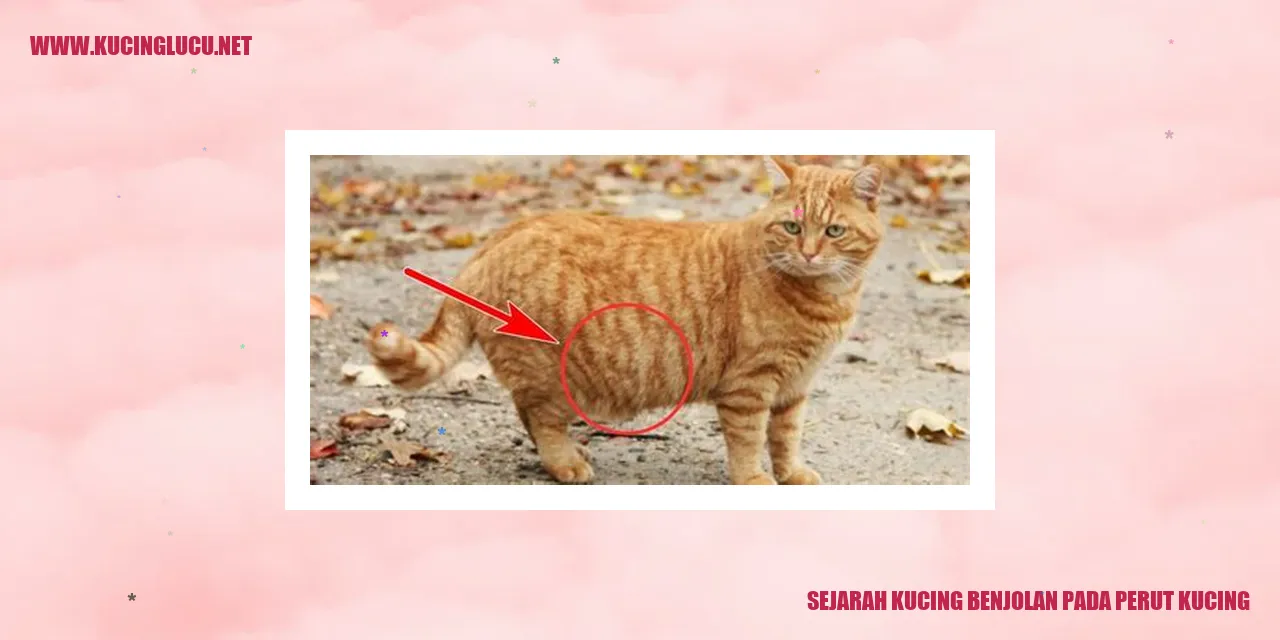 Sejarah Kucing Benjolan Pada Perut Kucing