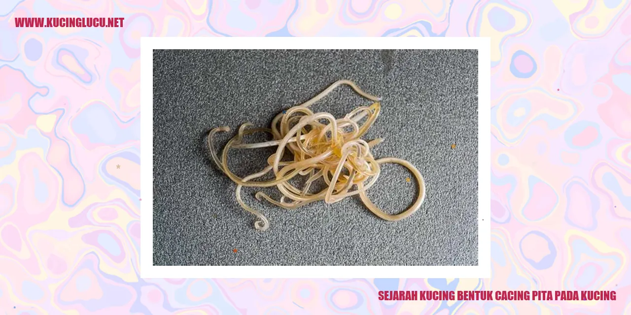 Sejarah Kucing Bentuk Cacing Pita pada Kucing