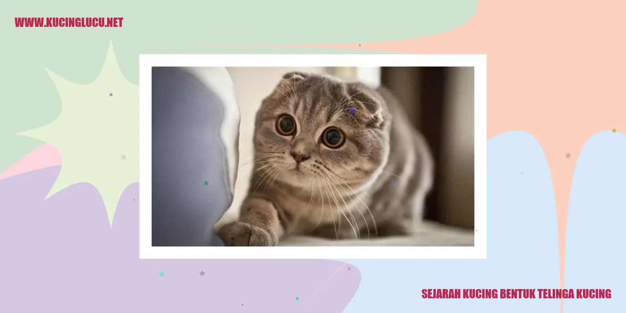 Sejarah Kucing bentuk telinga kucing