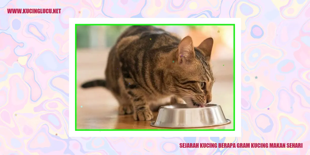 Ilustrasi Kucing di Masa Lalu