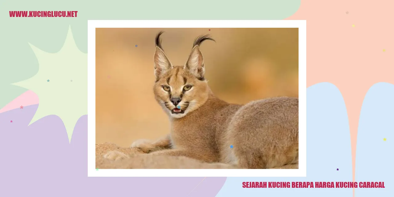 gambar caracal