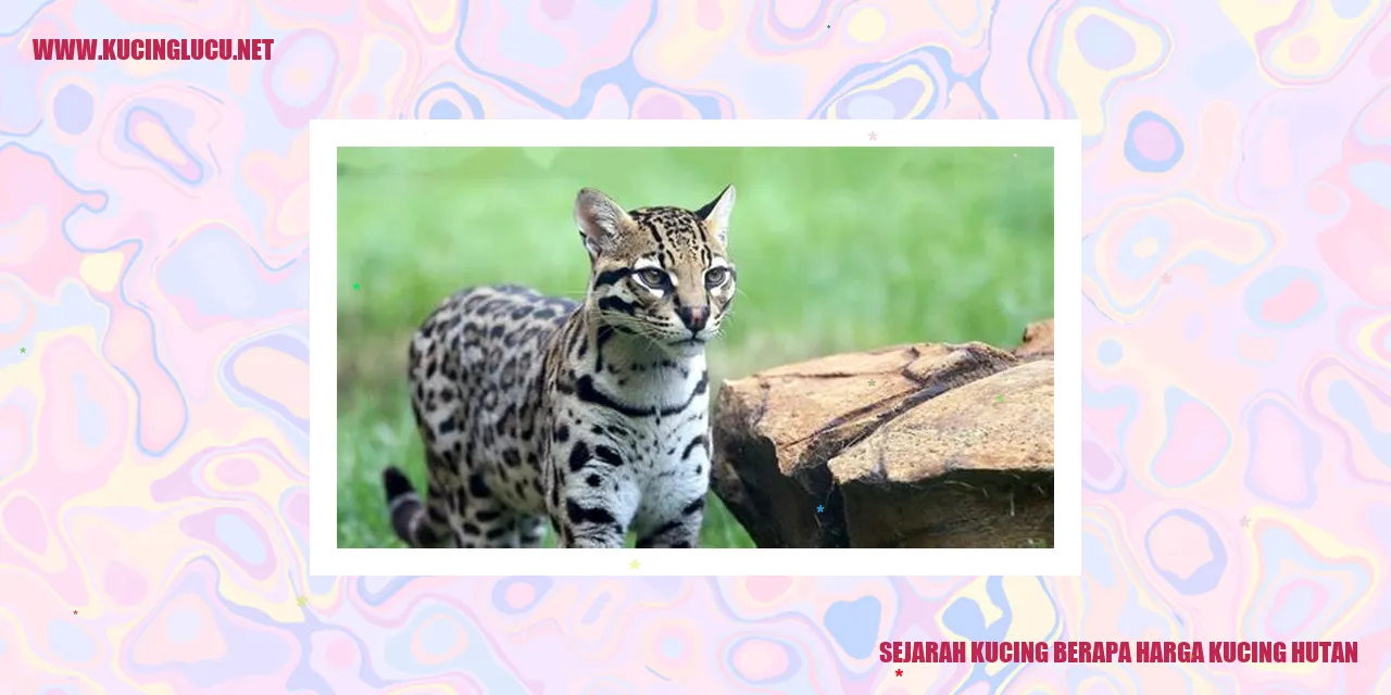 Gambar Kucing Hutan