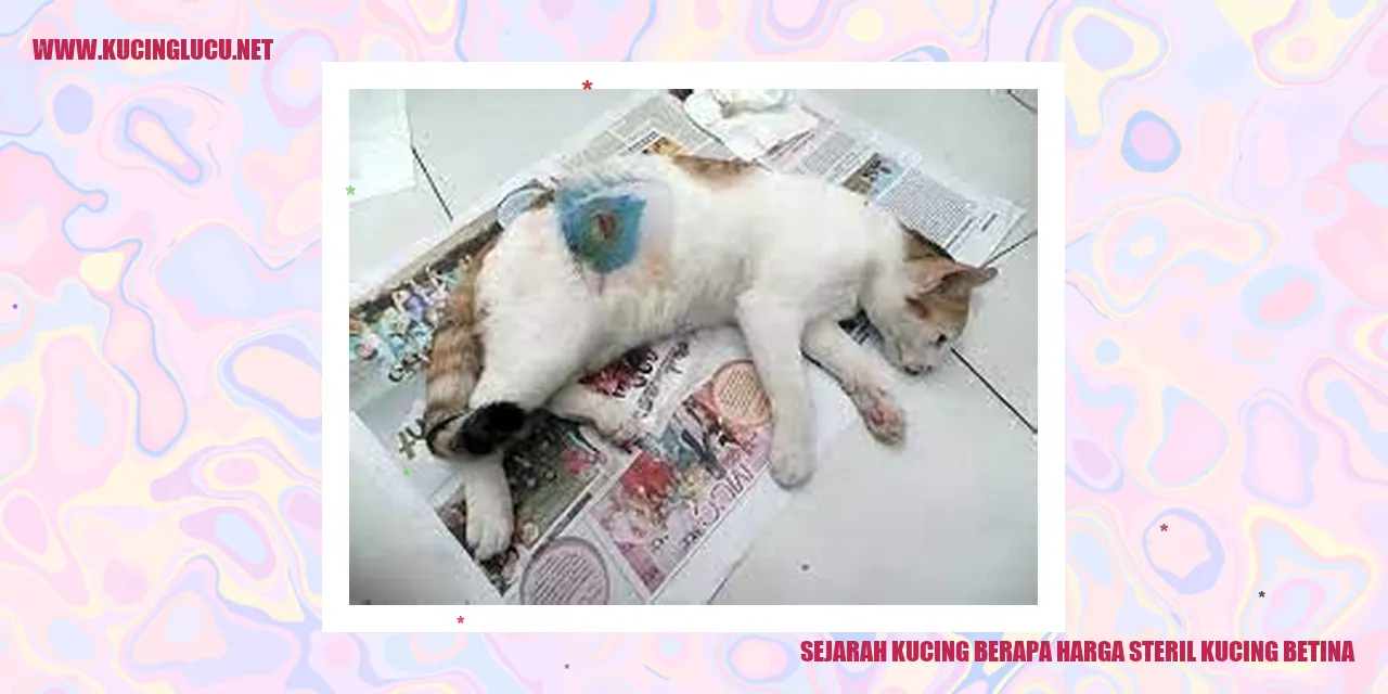 Sejarah Kucing dan Harga Operasi Sterilisasi Kucing Betina