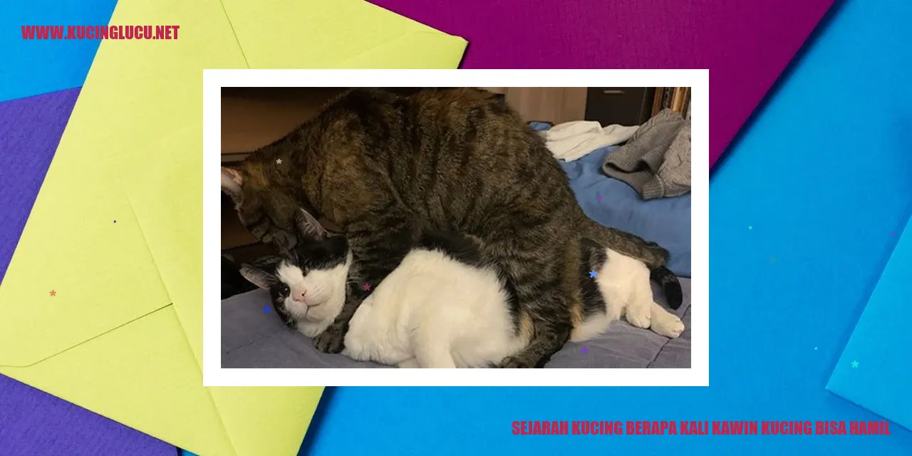 Sejarah dan Jumlah Persetubuhan Kucing yang Diperlukan Agar Bisa Hamil