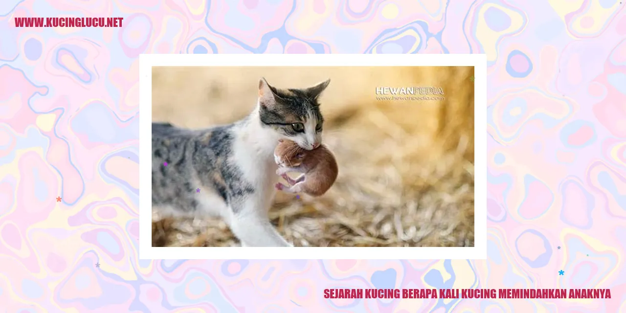 Sejarah Kucing berapa kali kucing memindahkan anaknya