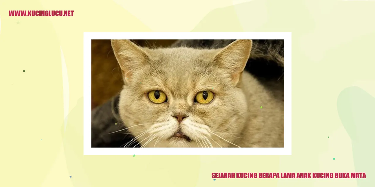 Sejarah Kucing