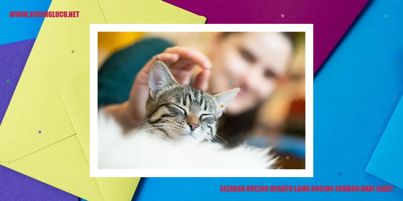 Sejarah Kucing dan Lama Penyembuhan dari Sakit