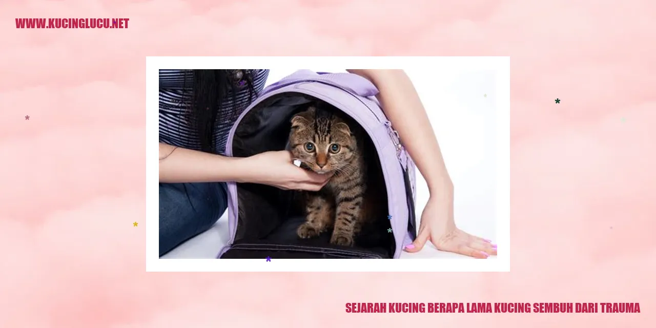 Gambar Kucing