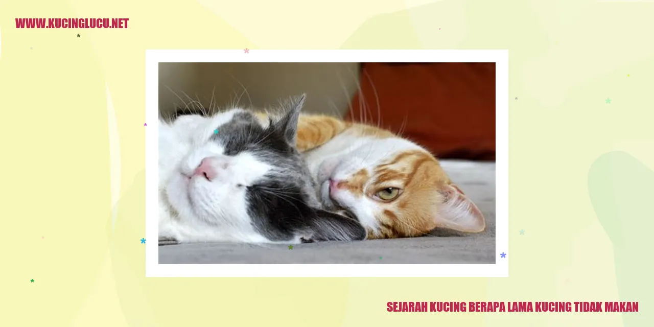 Gambar Kucing