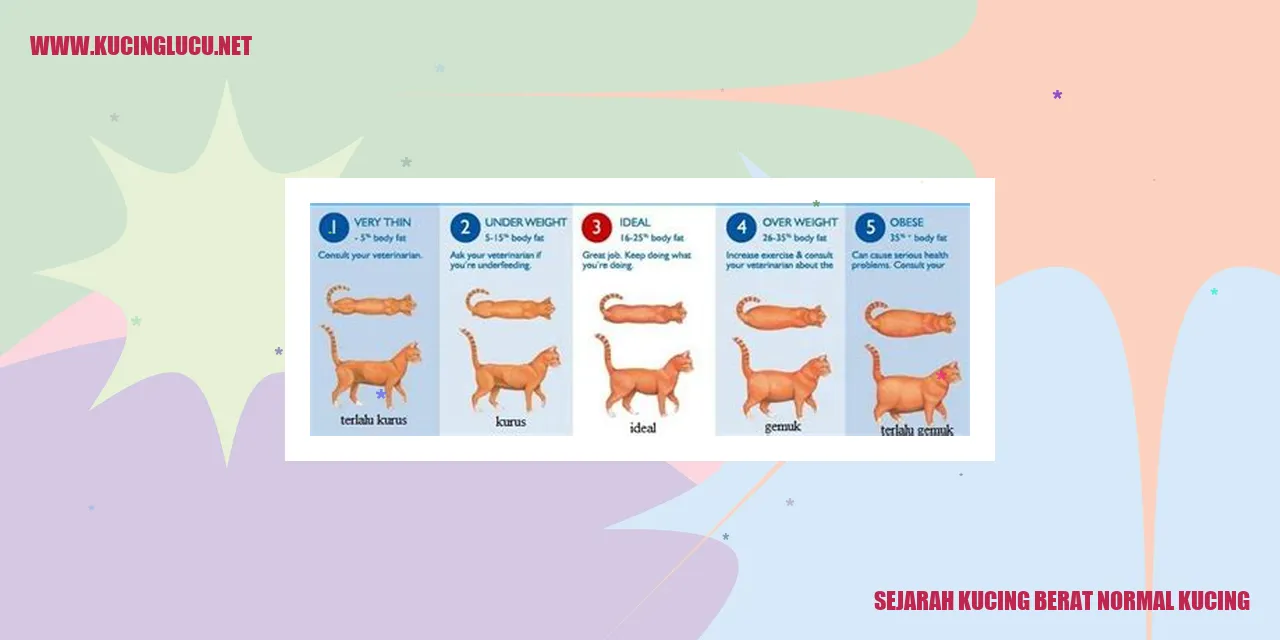 Kucing berat normal
